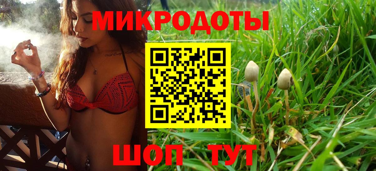Кимры  Галлюциногенные грибы Cubensis  цены   Вход с VPN 