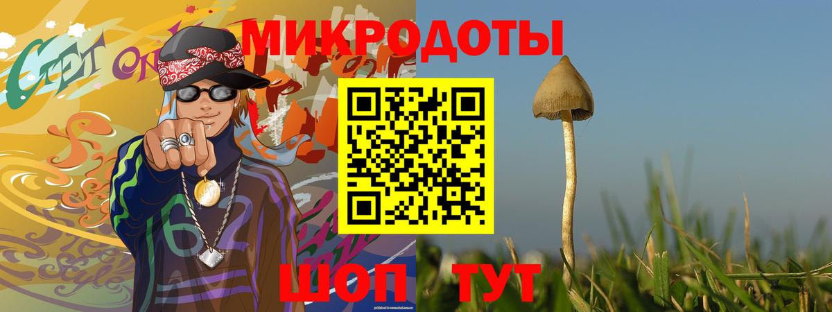 Псилоцибиновые грибы Psilocybe Кимры